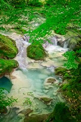 Fototapeta na wymiar Clear water river in a forest