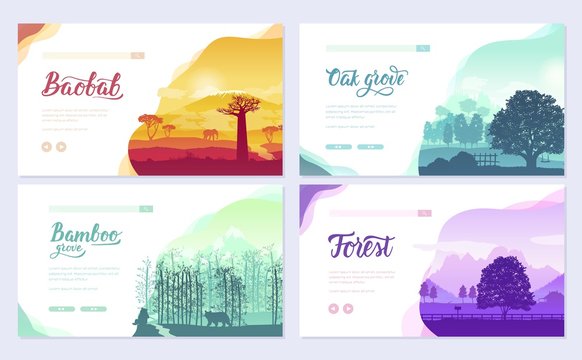 Oak trees, the African baobab and bamboo forest concept