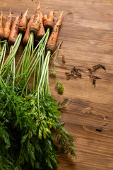 Bunch of Fresh carrots on wooden background, rich harvest