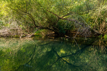  River Gold Panega, Bulgaria. Beautiful river at the end of summer.