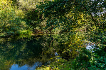  River Gold Panega, Bulgaria. Beautiful river at the end of summer.