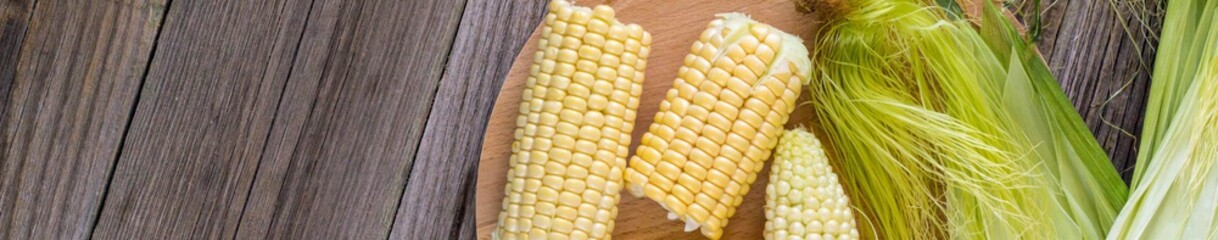 banner of Fresh corn on cobs on rustic wooden table, closeup, top view, copy space