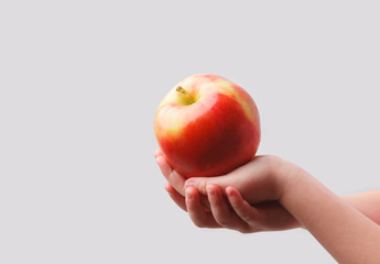 The apples in the hands of a child
