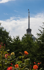 Beautiful white roses in the garden of the Transfiguration monastery. Yaroslavl.