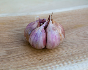  garlic