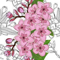 Vertical seamless border with beautiful frangipany vector illustration