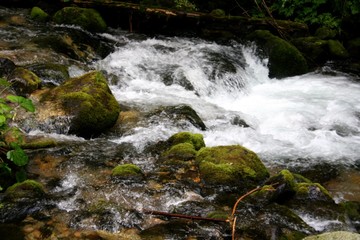 Fototapeta premium Forest stream running over mossy rocks
