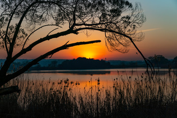 Sunrise over Rietvlei dam outside Pretoria, South Africa.