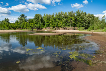 summer, warm, clear, serene, day, trip, journey, walk, rest, nature, flora, landscape, landscape, forest, river, backwaters, greenery, grass, herbs, trees, shrubs, foliage, trail, path, sand, footprin