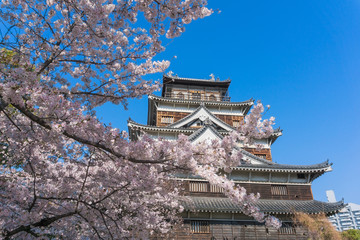 Hiroshima castle with sakura flower blooming © anujakjaimook