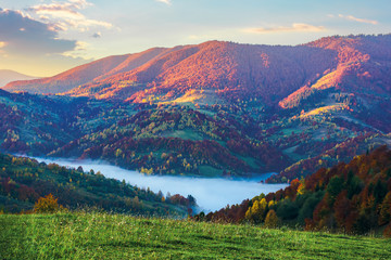 magical sunrise in mountains. valley full of fog. beautiful autumn scenery. trees in colorful...