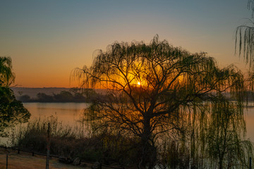 Naklejka premium Sunrise over Rietvlei dam nature reserve outside Pretoria, South Africa.