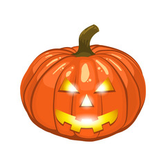 Thanksgiving pumpkin isolated on white