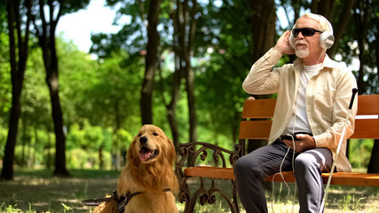 Visually impaired man in earphones listening music in park, guide dog resting by
