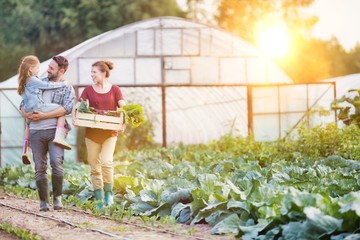 Portrait of a family of famers carrying their vegetables home in wooden boxes, at the end of the day, the Father is carrying their dauaghter © MDBPIXS