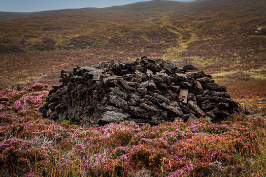 Cut peat in a heap surrounded by heather, on the Hebridean island of North Uist