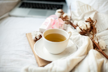Fototapeta na wymiar White mug with tea, cotton, notebook, plaid, book and white gift box with a pink ribbon on the bed. Breakfast in bed. Cozy. Autumn. Winter.