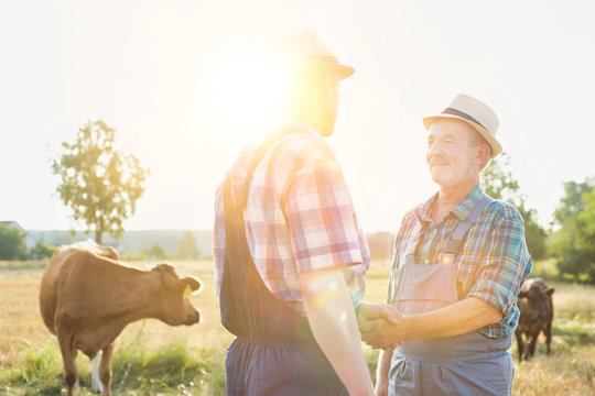 Farmers shaking hands in farm with yellow lens flare in background