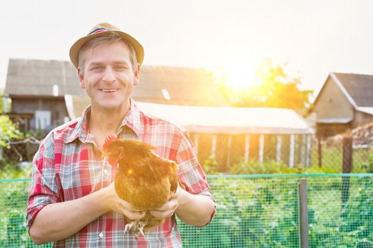 Mature farmer carrying hen in barn with yellow lens flare in background