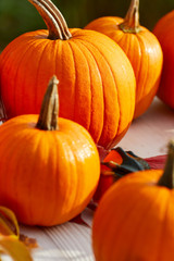 Autumn still life with pumpkins, corncobs and leaves on wooden background