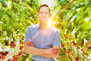 Confident supervisor standing with arms crossed against tomatoes growing in greenhouse with yellow lens flare in background