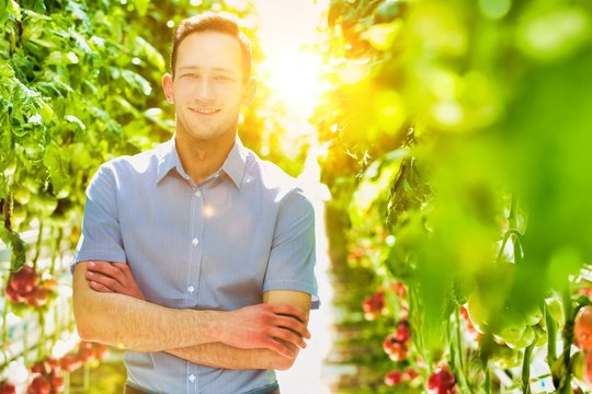 Confident supervisor standing with arms crossed against tomatoes growing in greenhouse with yellow lens flare in background - Powered by Adobe
