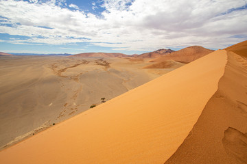 sand dunes in the desert of Namibia Sossusvlei