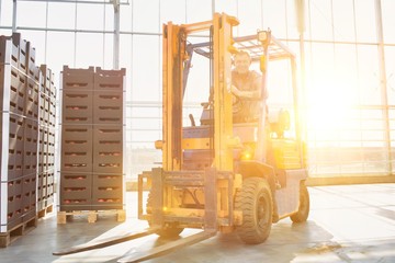Senior man driving forklift at storage room in greenhouse with yellow lens flare