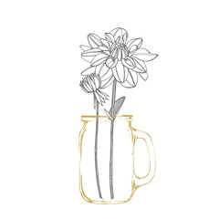 Hand-drawn ink dahlias. Floral elements. Graphic flowers illustrations. Botanical plant illustration. Vintage medicinal herbs sketch set of ink hand drawn medical herbs and plants sketch