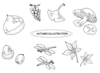 秋の線画イラスト