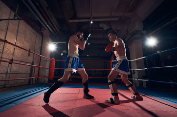 Fototapeta na wymiar Attractive man fighter exercising kickboxing with sparring partner in the ring at the health club