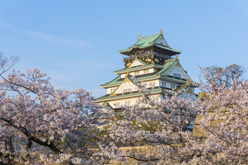 Osaka castle with sakura blooming