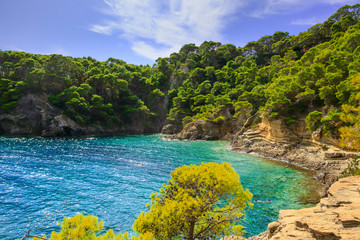 Summertime: Tremiti Islands' archipelago. San Domino island:  Cove Spido (Cala Spido). Gargano National Park (Apulia) Italy: scenic view of  tipycal rocky coastline with Aleppo pines.