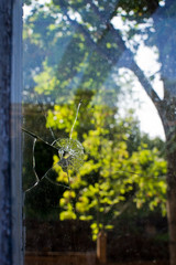 Bullet hole in the window in the glass on a background of green trees