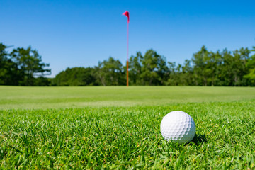 View of Golf Course with beautiful putting green. Golf course with a rich green turf beautiful...