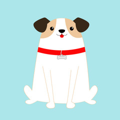Dog sitting. White puppy pooch. Red collar bone. Cute cartoon kawaii funny baby character. Flat design style. Help homeless animal concept. Adopt me. Pet adoption. Blue background. Isolated.