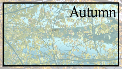 finished image, background, texture, autumn discounts