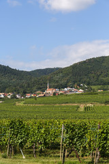 the old town of Husseren les chateaux