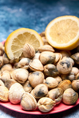 view of fresh cockles on a plate