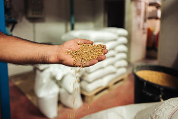 TORRE SANTA SUSANNA / ITALY -  AUGUST 2019: Inside an old wheat mill producing flour