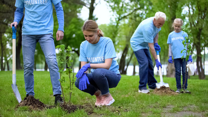 Volunteers planting tree saplings in park, natural resources conservation, care