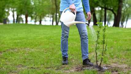 Male eco activist watering tree by can, volunteer taking care natural resources