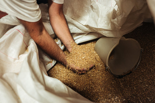 TORRE SANTA SUSANNA / ITALY -  AUGUST 2019: Inside an old wheat mill producing flour