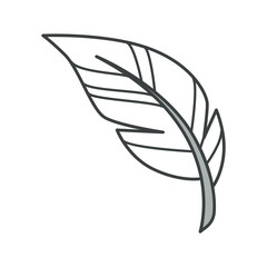 Feather or plume isolated icon, pillow or blanket filling