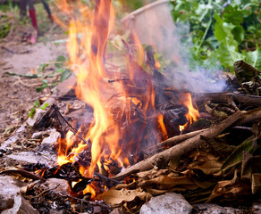 bonfire burns in a meadow, rural landscape