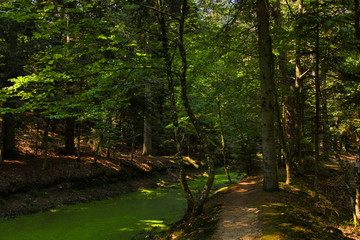 the old town of Husseren les chateaux