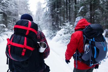 Naklejka premium Hiker in the winter forest traveling in the mountains