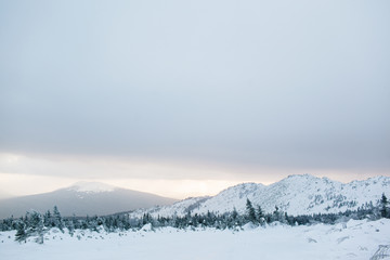 Fototapeta na wymiar Beautiful snowy winter forest in the mountains
