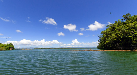 Holidays in the Caribbean paradise: Samana,  Los Haitises National Park in the Dominican Republic; Bird colonies with endemic bird species