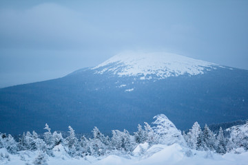 Obraz premium Beautiful snowy winter forest in the mountains